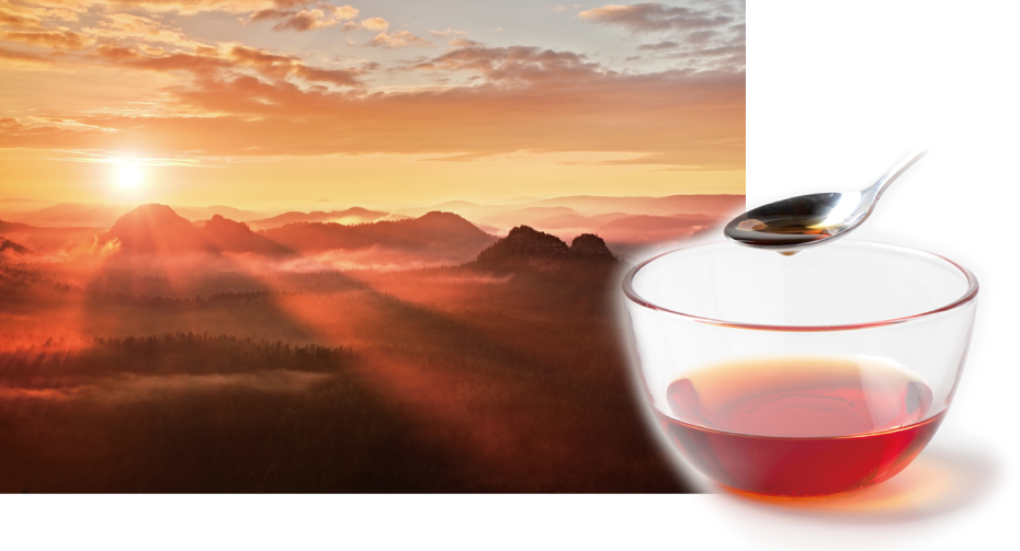 九州・延岡産ヒノキエッセンシャルヒノキオイル