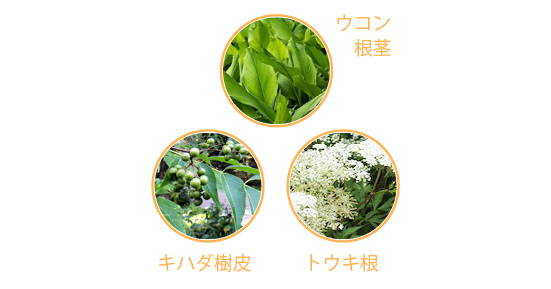 「haus」プレミアムヒノキバスエッセンス bath essence