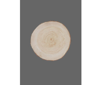 「haus」プレミアムヒノキヘアシャンプー